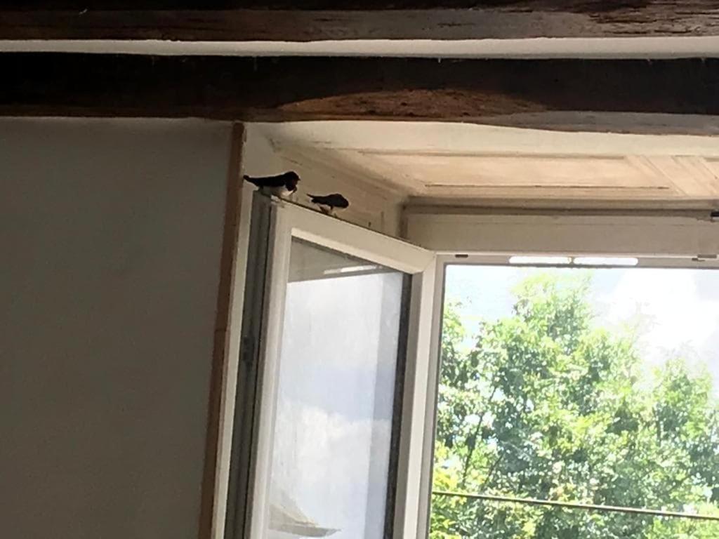 Chassigny Chez Zoiseau Et Zoiseautte B&B 외부 사진