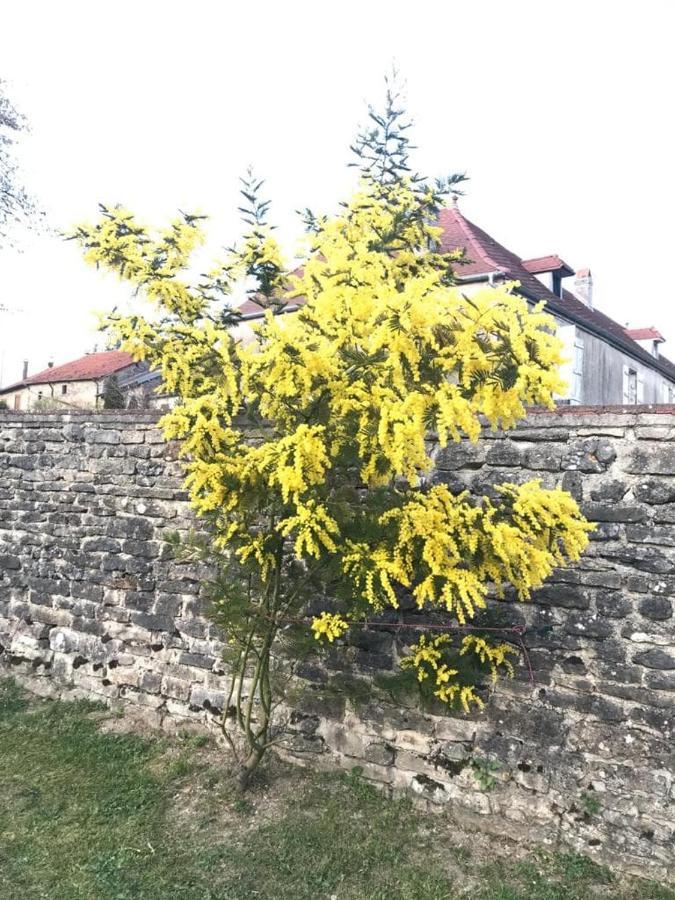 Chassigny Chez Zoiseau Et Zoiseautte B&B 외부 사진