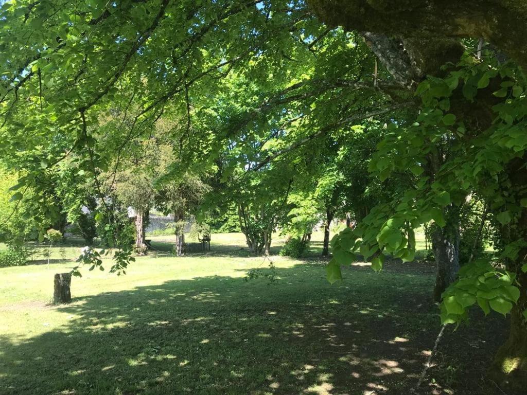 Chassigny Chez Zoiseau Et Zoiseautte B&B 외부 사진