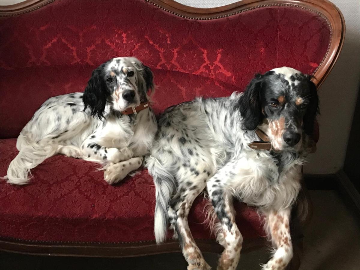 Chassigny Chez Zoiseau Et Zoiseautte B&B 외부 사진